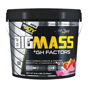 BigJoy Sports Bigmass GH Factors Çilek 3 kg