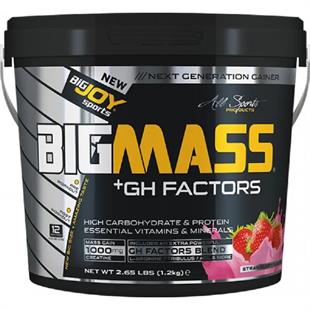 BigJoy Sports Bigmass GH Factors Çilek 1,2 kg