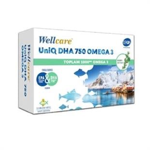 Wellcare Uniq Omega 3 Balık Yağı 750 mg 30 Kapsül